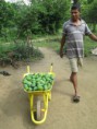 /album/galleria-foto-prima-farm/img-5841-copia-jpg/